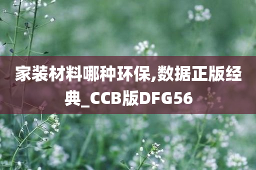 环保家装材料