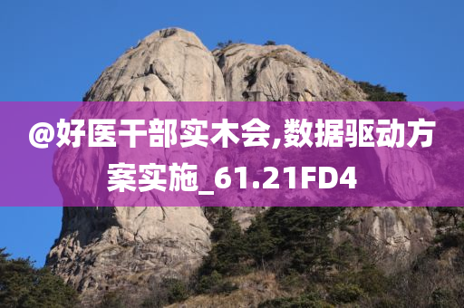 @好医干部实木会,数据驱动方案实施_61.21FD4