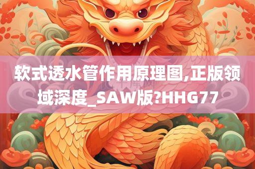 软式透水管作用原理图,正版领域深度_SAW版?HHG77