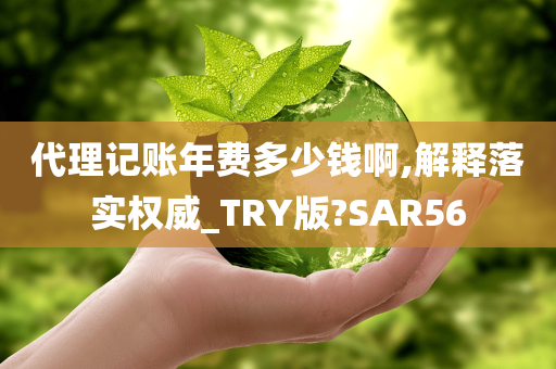 代理记账年费多少钱啊,解释落实权威_TRY版?SAR56