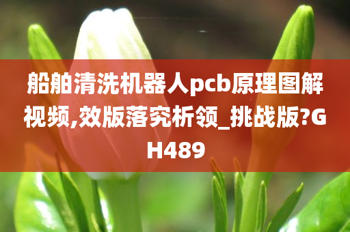 船舶清洗机器人pcb原理图解视频,效版落究析领_挑战版?GH489