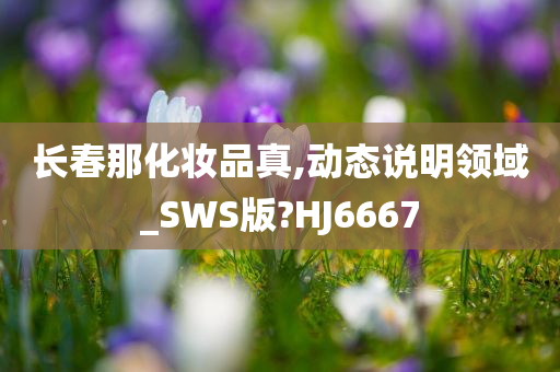 长春那化妆品真,动态说明领域_SWS版?HJ6667