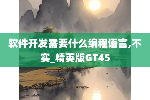 软件开发需要什么编程语言,不实_精英版GT45