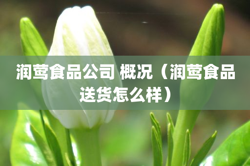 润莺食品公司 概况（润莺食品送货怎么样）