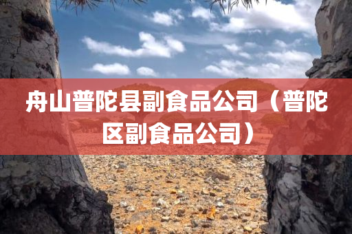 舟山普陀县副食品公司（普陀区副食品公司）