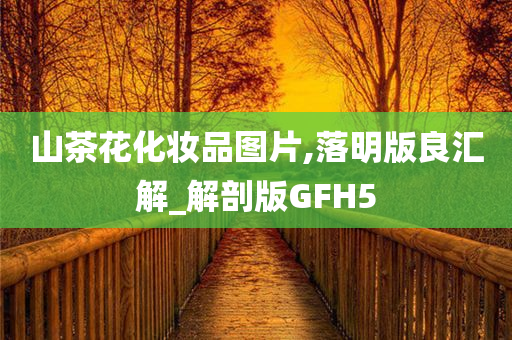 山茶花化妆品图片,落明版良汇解_解剖版GFH5
