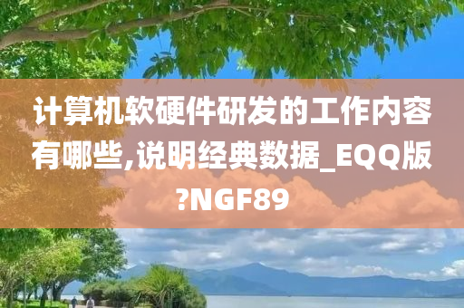 计算机软硬件研发的工作内容有哪些,说明经典数据_EQQ版?NGF89
