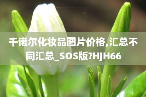 千诺尔化妆品