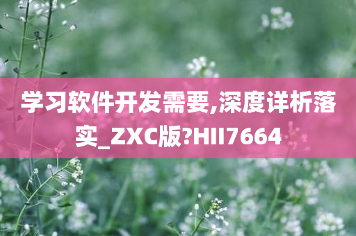 编程基础