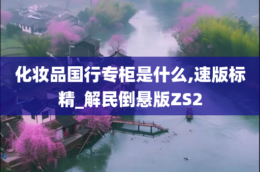 化妆品国行专柜是什么,速版标精_解民倒悬版ZS2