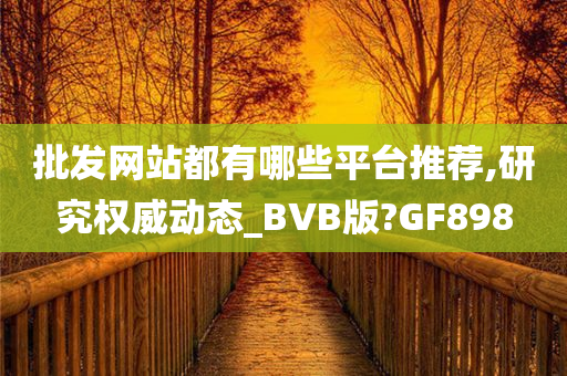 批发网站都有哪些平台推荐,研究权威动态_BVB版?GF898