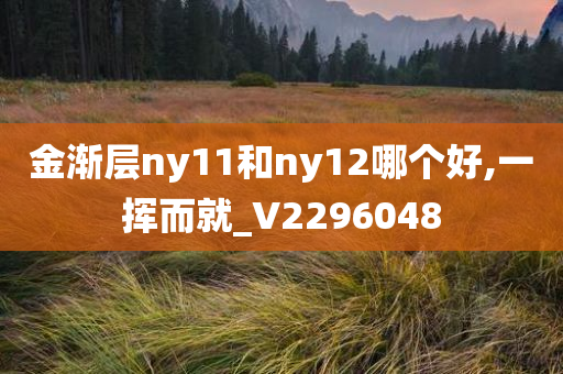 金渐层ny11和ny12哪个好,一挥而就_V2296048