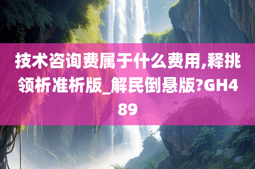 技术咨询费属于什么费用,释挑领析准析版_解民倒悬版?GH489