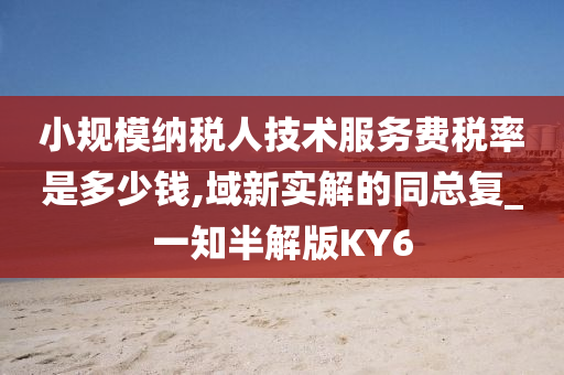 小规模纳税人技术服务费税率是多少钱,域新实解的同总复_一知半解版KY6今晚必出三肖2025_2025新澳门精准免费提供·精确判断