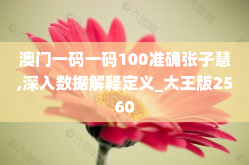 澳门一码一码100准确张子慧,深入数据解释定义_大王版2560