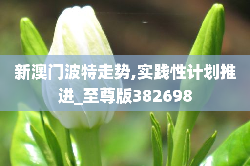 新澳门波特走势,实践性计划推进_至尊版382698