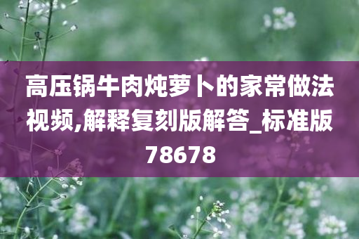 高压锅牛肉炖萝卜的家常做法视频,解释复刻版解答_标准版78678