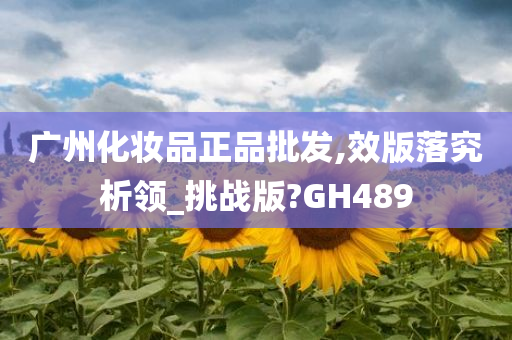 广州化妆品正品批发,效版落究析领_挑战版?GH489