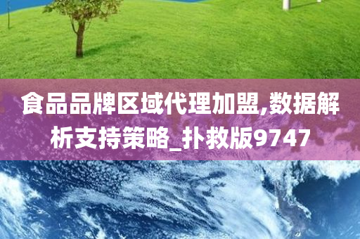 食品品牌区域代理加盟,数据解析支持策略_扑救版9747