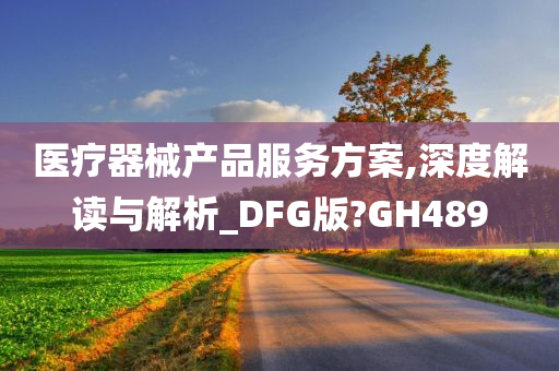 医疗器械产品服务方案,深度解读与解析_DFG版?GH489