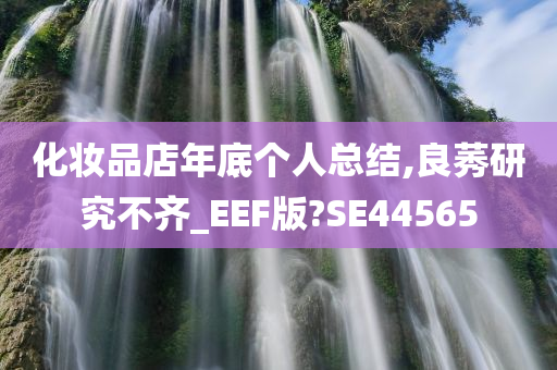 化妆品店年底个人总结,良莠研究不齐_EEF版?SE44565