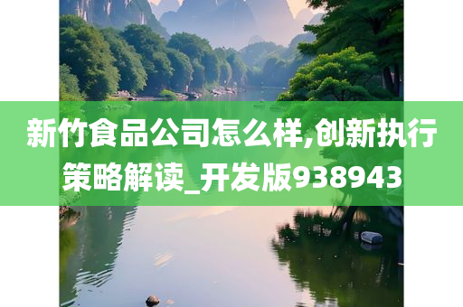 新竹食品公司怎么样,创新执行策略解读_开发版938943