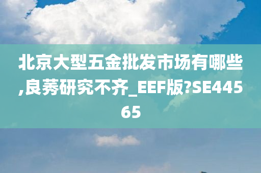 北京大型五金批发市场有哪些,良莠研究不齐_EEF版?SE44565