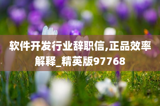 软件开发行业辞职信,正品效率解释_精英版97768