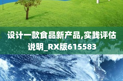 设计一款食品新产品,实践评估说明_RX版615583