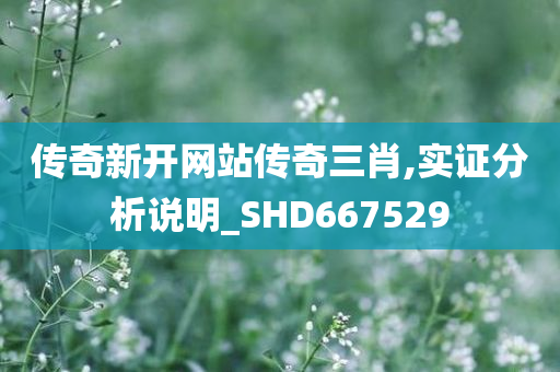 传奇新开网站传奇三肖,实证分析说明_SHD667529
