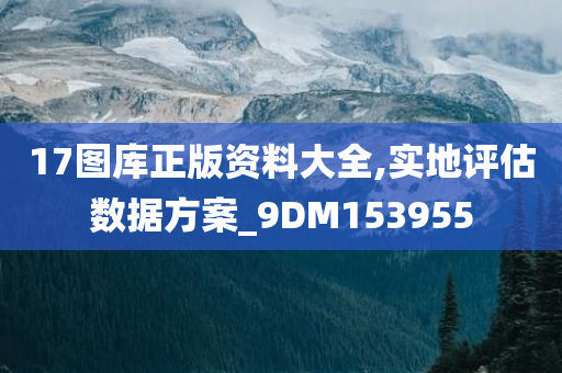 17图库正版资料大全,实地评估数据方案_9DM153955