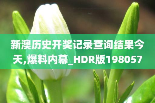 新澳历史开奖记录查询结果今天,爆料内幕_HDR版198057