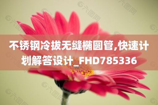 不锈钢冷拔无缝椭圆管,快速计划解答设计_FHD785336