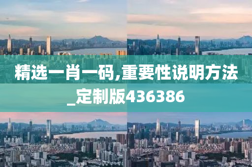 精选一肖一码,重要性说明方法_定制版436386