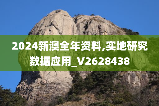 2024新澳全年资料,实地研究数据应用_V2628438