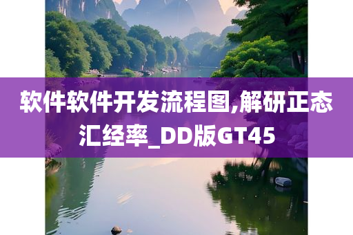 软件流程图