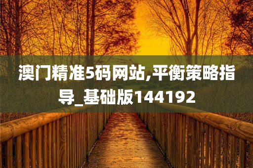 澳门精准5码网站,平衡策略指导_基础版144192
