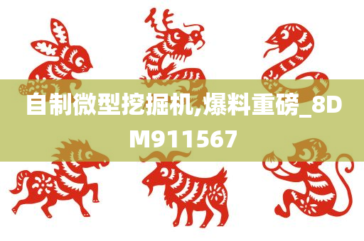 自制微型挖掘机,爆料重磅_8DM911567