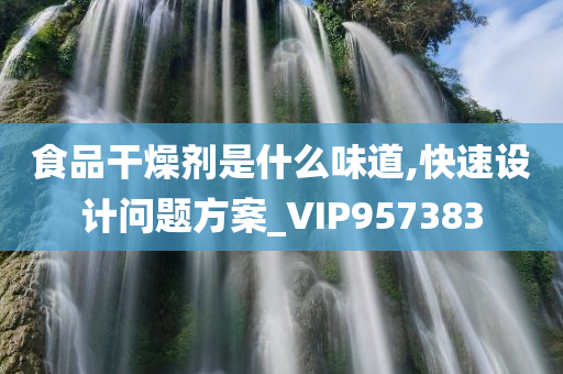 食品干燥剂是什么味道,快速设计问题方案_VIP957383
