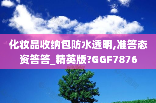 化妆品收纳包防水透明,准答态资答答_精英版?GGF7876