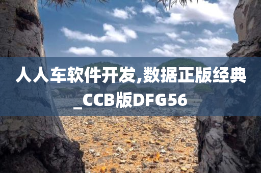 人人车软件开发,数据正版经典_CCB版DFG56