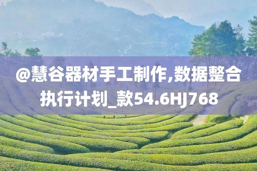 @慧谷器材手工制作,数据整合执行计划_款54.6HJ768
