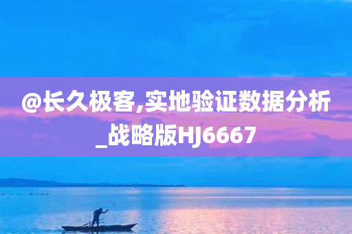 @长久极客,实地验证数据分析_战略版HJ6667