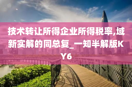 技术转让所得企业所得税率,域新实解的同总复_一知半解版KY6