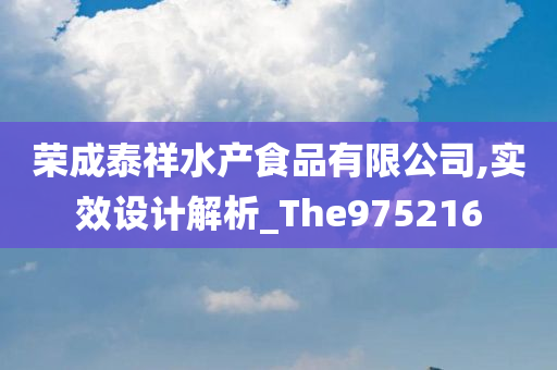 荣成泰祥水产食品有限公司,实效设计解析_The975216