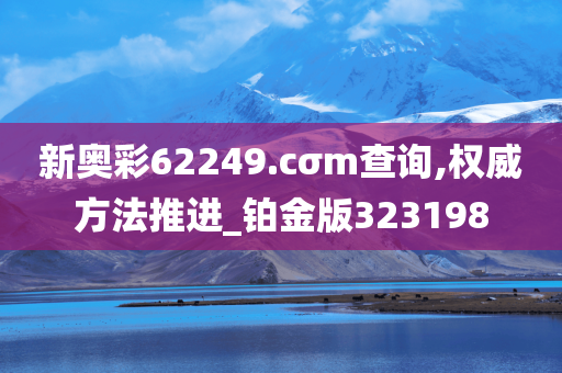 新奥彩62249.cσm查询,权威方法推进_铂金版323198