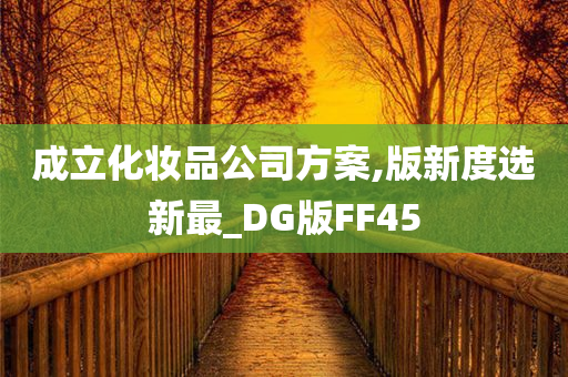 成立化妆品公司方案,版新度选新最_DG版FF45