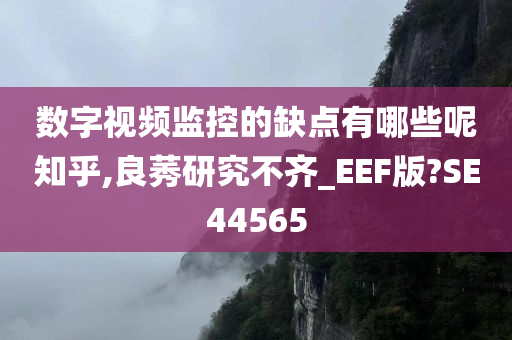 数字视频监控的缺点有哪些呢知乎,良莠研究不齐_EEF版?SE44565