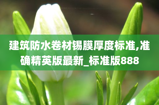 建筑防水卷材锡膜厚度标准,准确精英版最新_标准版888
