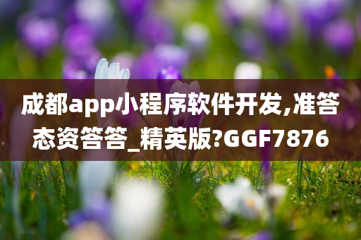 成都app小程序软件开发,准答态资答答_精英版?GGF7876